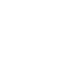 michaelschool